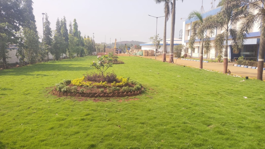 After — Lush green lawn with decorative garden bed