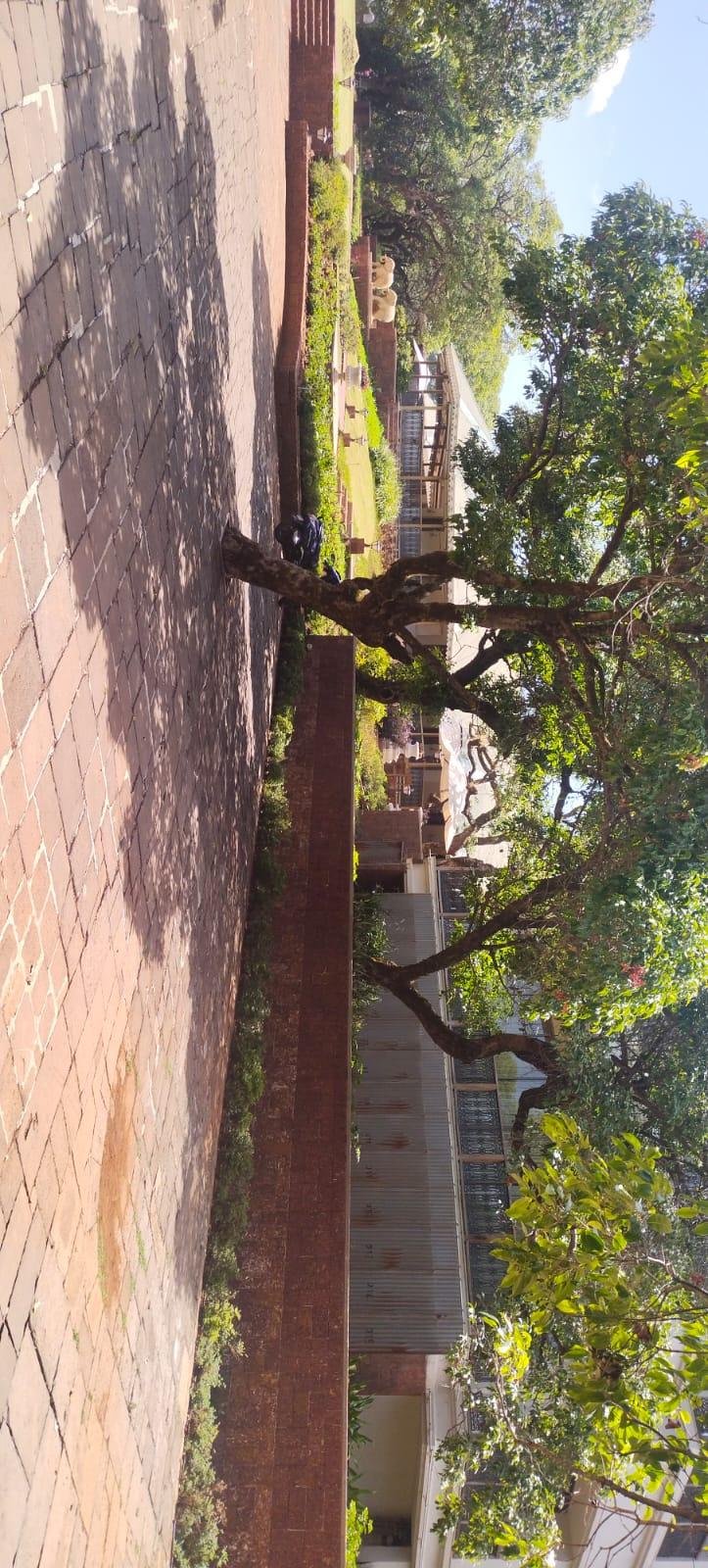 Landscaped Garden Project