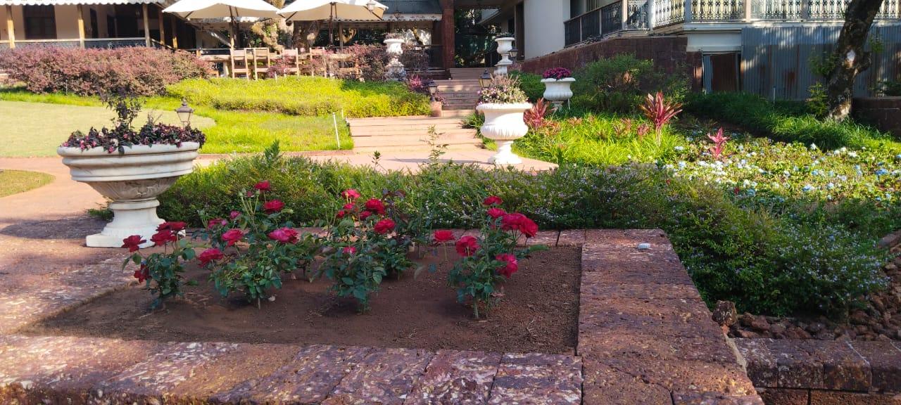 Aditya Enterprises premium garden design project showcasing lush green landscaping in Chiplun