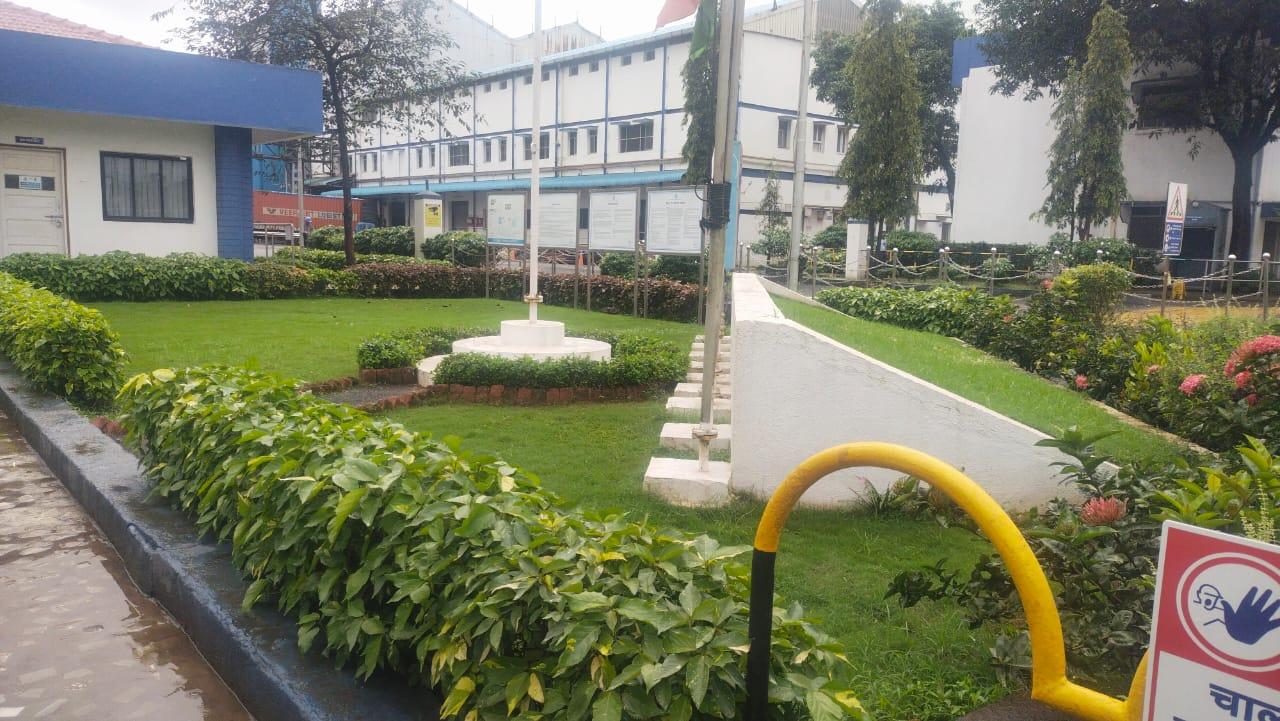 Landscaped Walkway