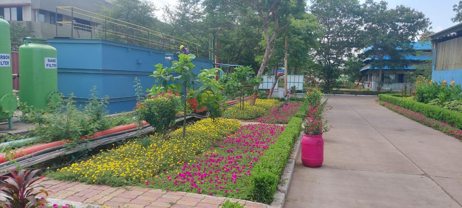 Garden Development